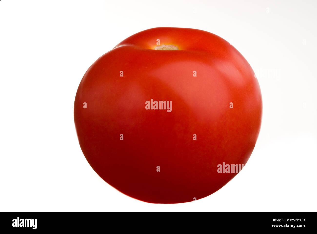 Rote Tomate. Stockfoto