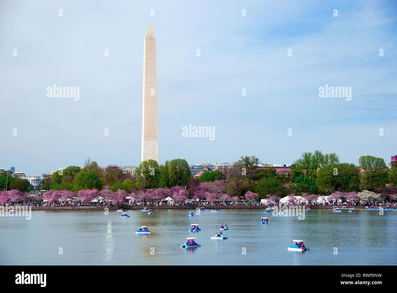 Washington Monument mit Cherry Blossom über See mit Boot, Washington DC. Stockfoto