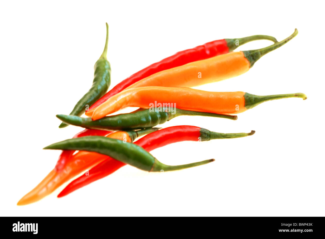 Frisches rohes Ungekocht bunte Hot spicy thai Chilis Zutaten zum Kochen Isoliert gegen einen weißen Hintergrund mit Freistellungspfaden und keine Leute Stockfoto