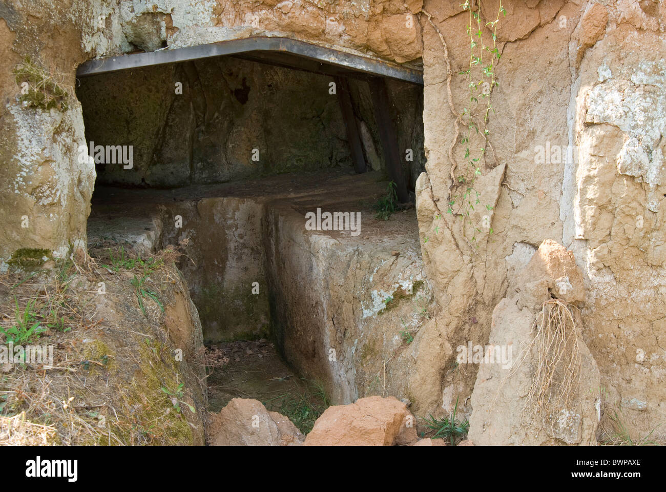 Etruskische Nekropole von Madonna schließlich etruskischen Grab, Tuscania, Provinz Viterbo, Latium, Italien Stockfoto