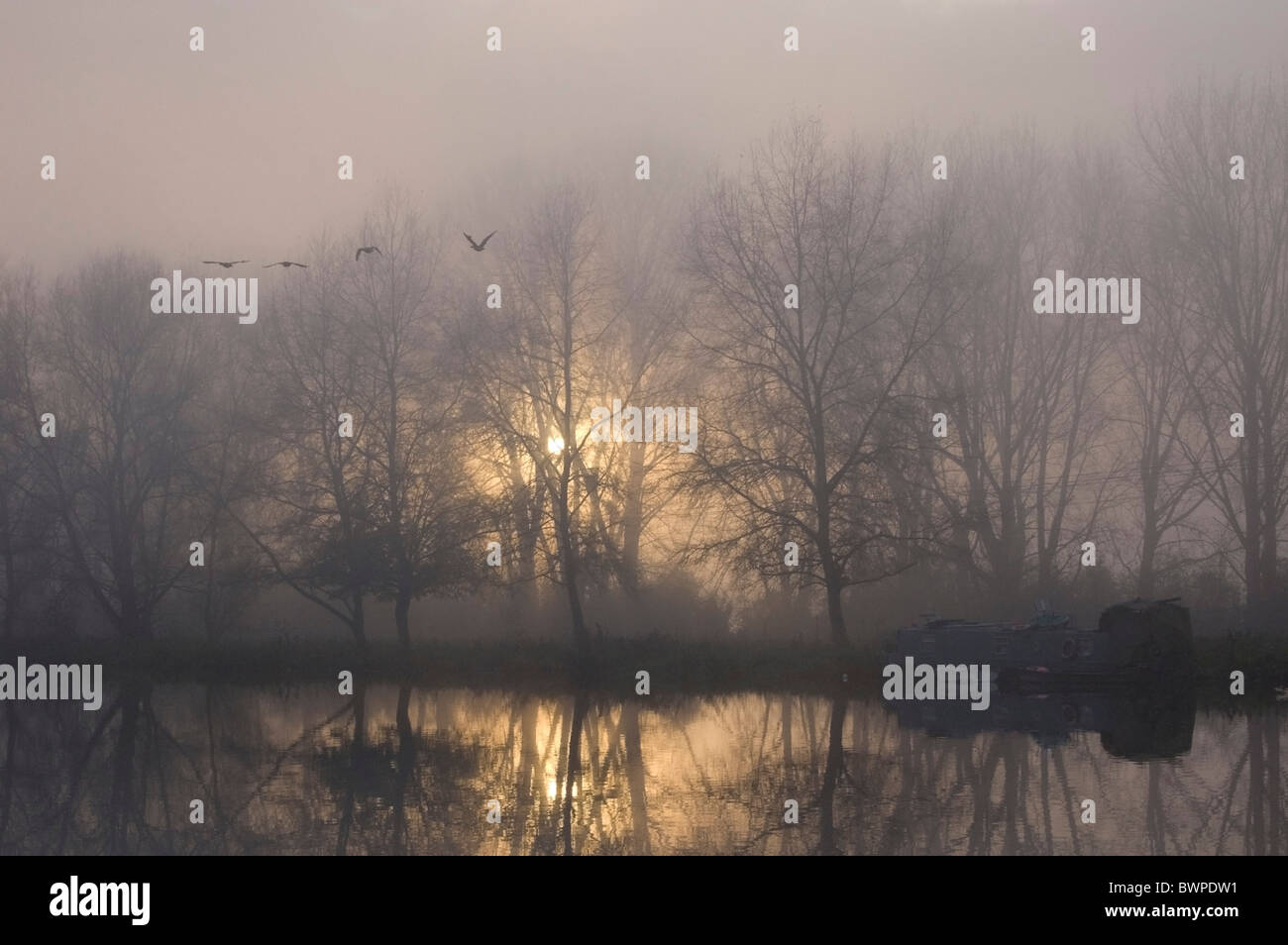 Letzter Flug endlich Licht, Sonning on Thames, Berkshire, UK Stockfoto