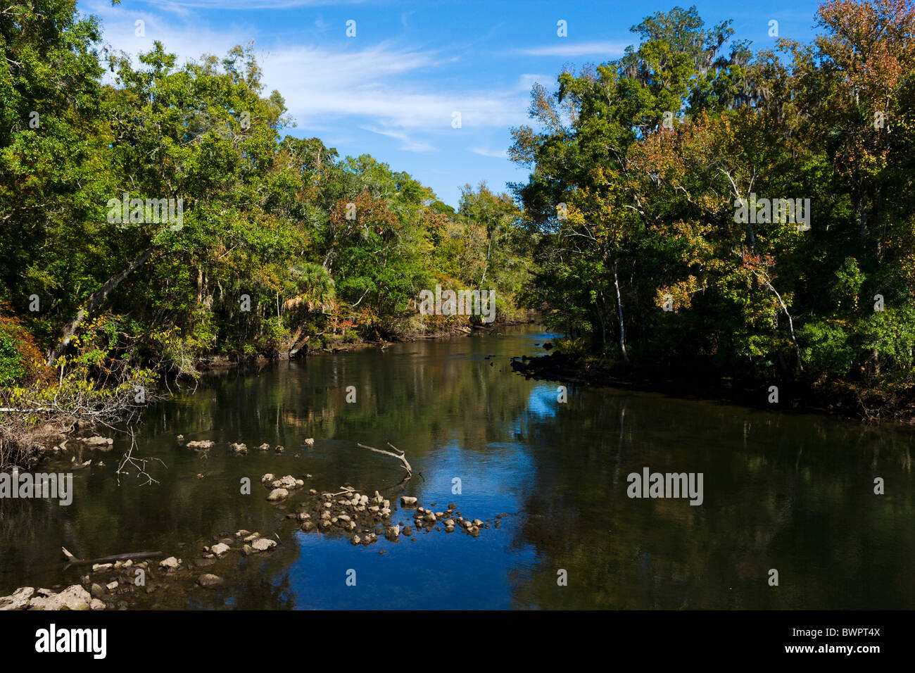 Flusses Aucilla aus US98 in der Nähe von Perry im nördlichen Florida, USA Stockfoto