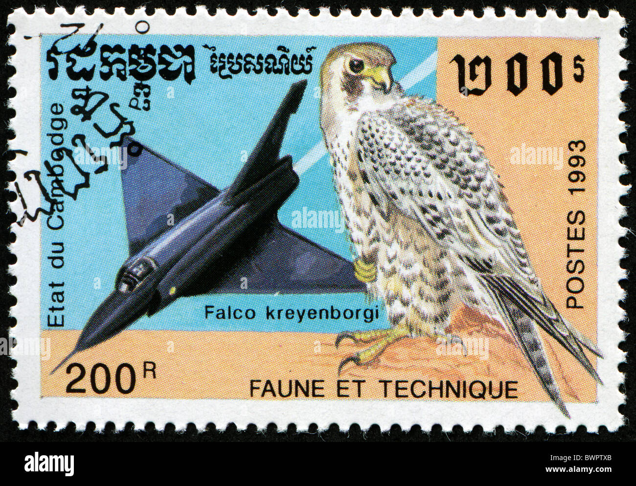 CAMBODGE - ca. 1993: Eine Briefmarke gedruckt in Cabbodge zeigt Flugzeug Falcon und Vogel Peregrine Falcon - Falco-kreyenborgi Stockfoto