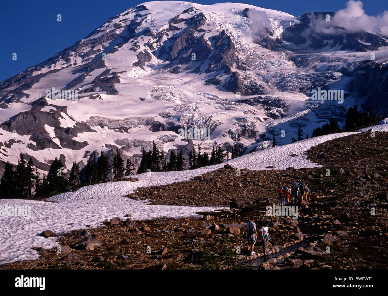 Blick auf Mount Ranier, Paradise, Mount Rainer Nationalpark, Washington State, USA. Stockfoto
