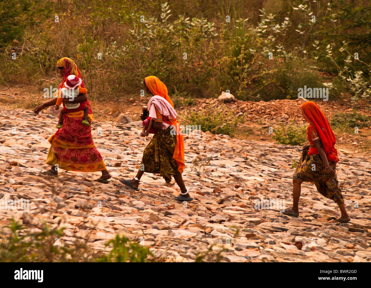 Rajasthani Frauen Umstimmung aus den Bereichen Ramgarh, Rajasthan, Indien Stockfoto