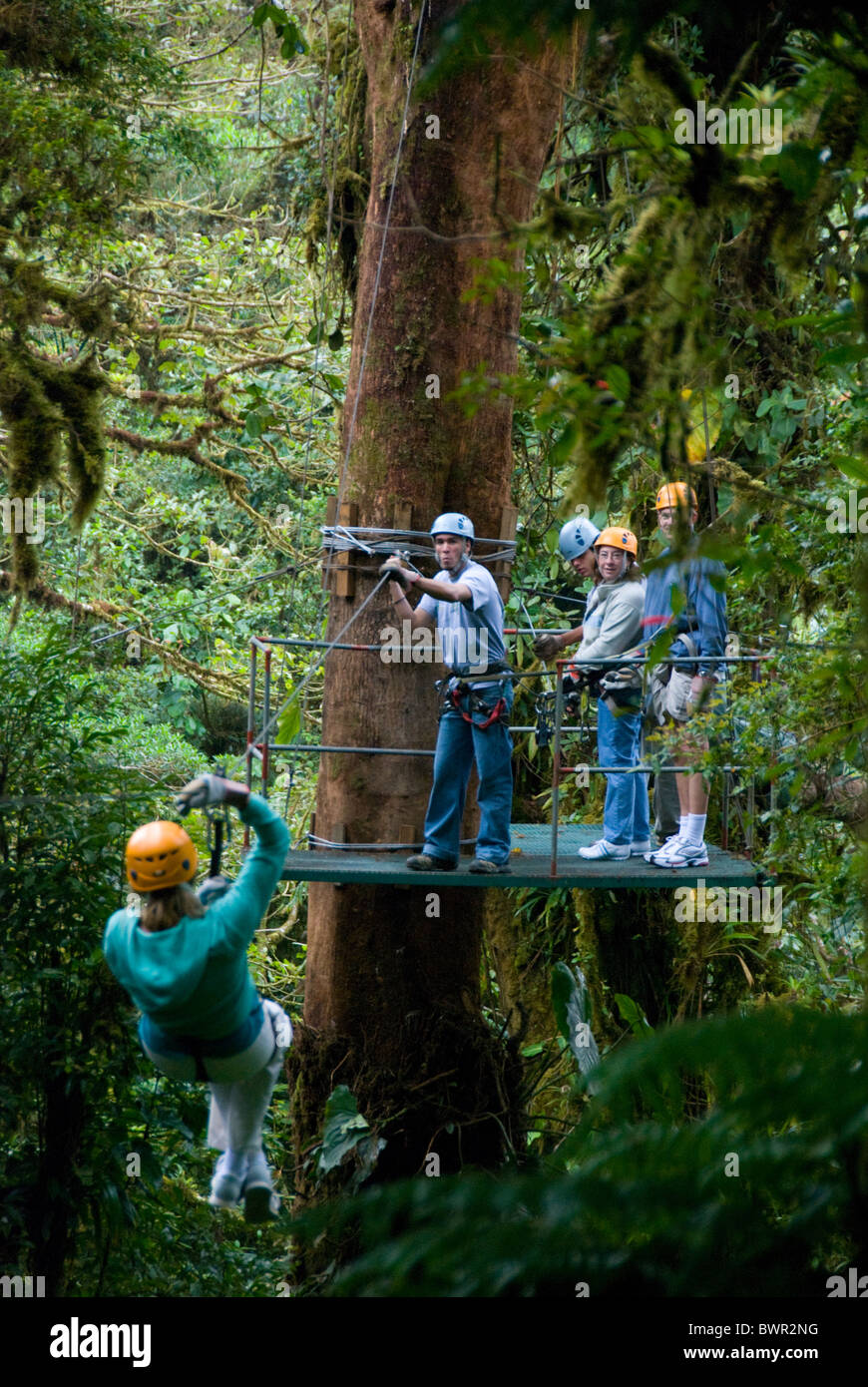 DSCHUNGEL-CANOPY-TOUR IN MONTEVERDE NEBELWALD. PROVINZ PUNTARENAS. Costa Rica Stockfoto DSCHUNGEL-CANOPY-TOUR IN MONTEVERDE NEBELWALD. PROVINZ PUNTARENAS. Costa Rica Stockfoto