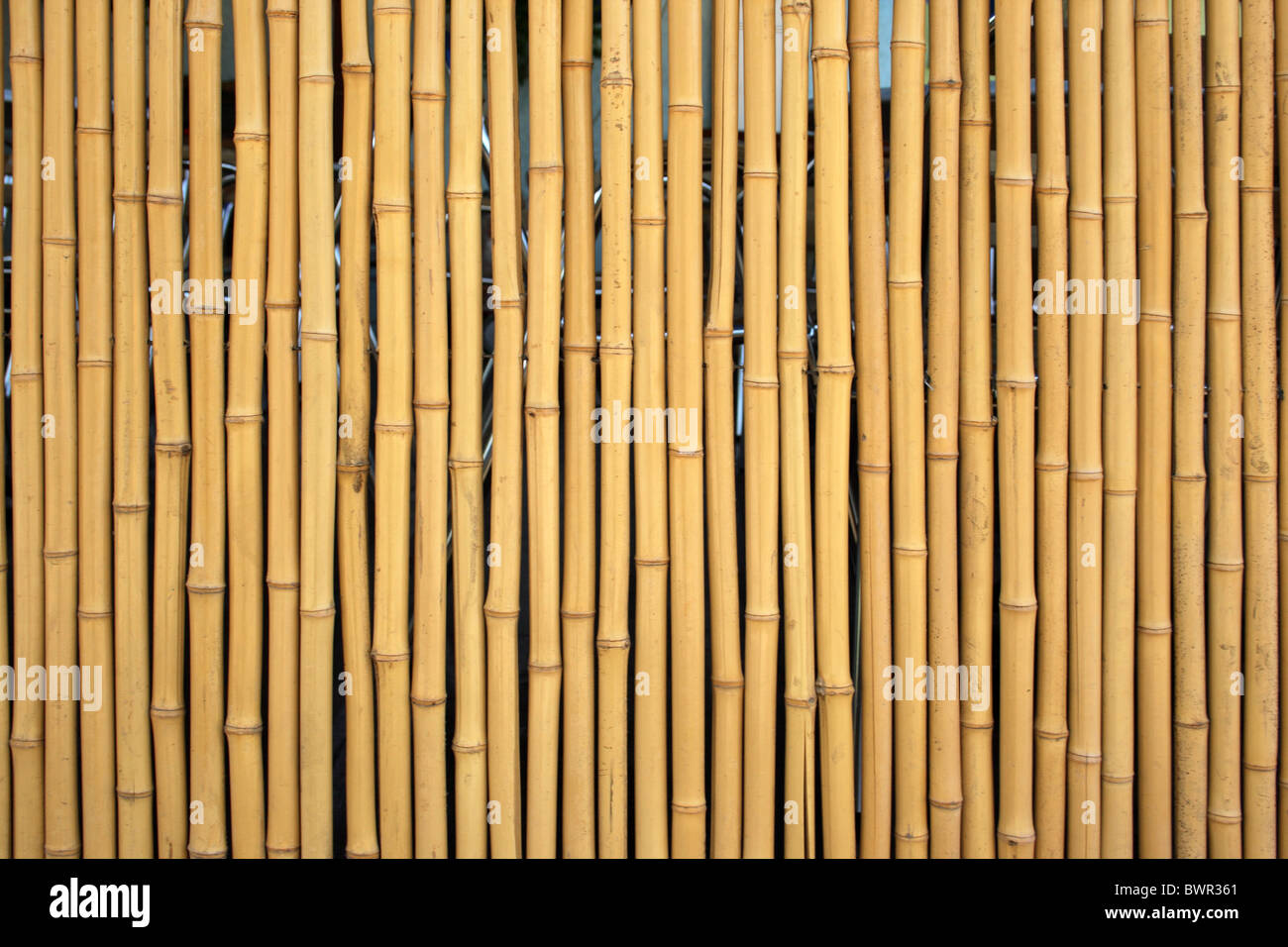 Bambus-Hintergründe-Textur Stockfoto