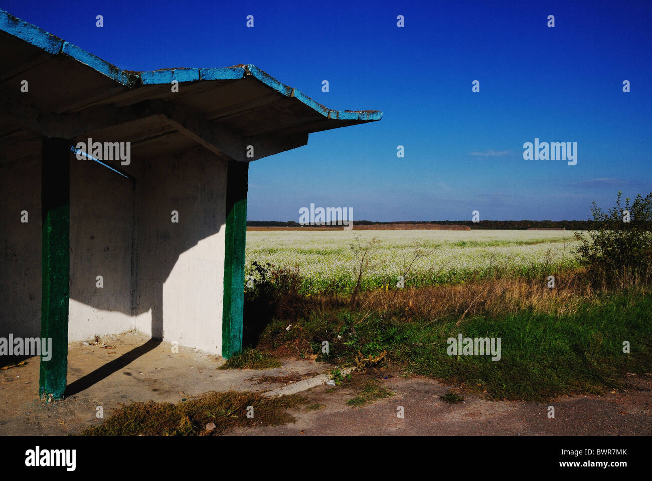 Eine ländliche Bushaltestelle in der Nähe von Kiew, Ukraine, Osteuropa Stockfoto