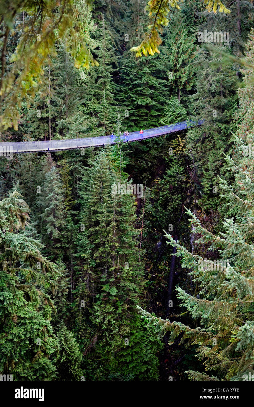 Kanada Nordamerika Amerika North Vancouver British Columbia Nordamerika Capilano Suspension Bridge überqueren Stockfoto