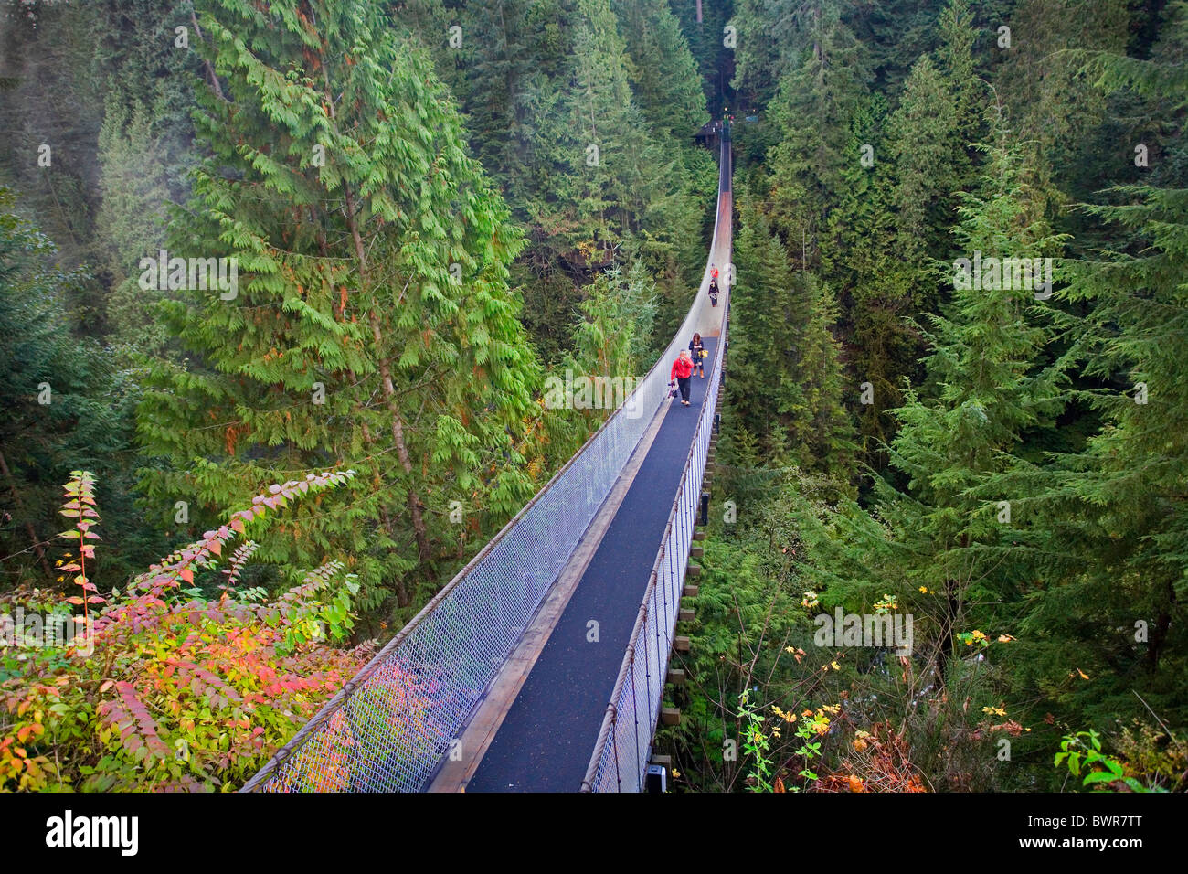 Kanada Nordamerika Amerika North Vancouver British Columbia Nordamerika Capilano Suspension Bridge überqueren Stockfoto