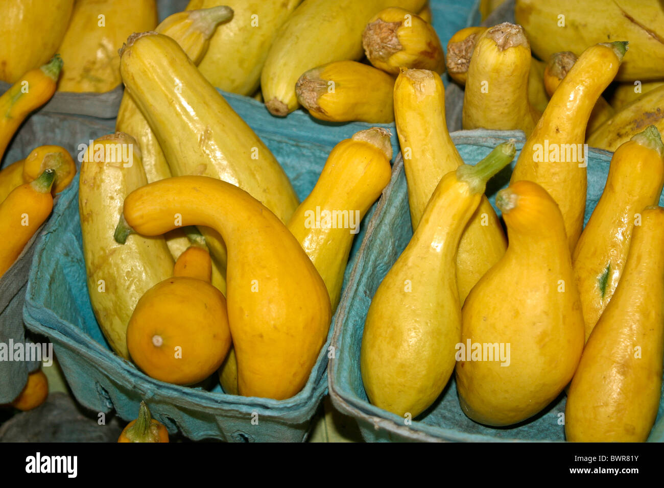 Crookneck Squash auf dem Display am Straßenrand stehen auf der