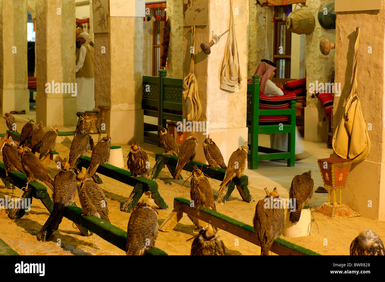 Katar Vogel Center Falken alte Souk alte Markt Falknerei Greifvögel Doha arabischen Halbinsel östlichen oriental Stockfoto