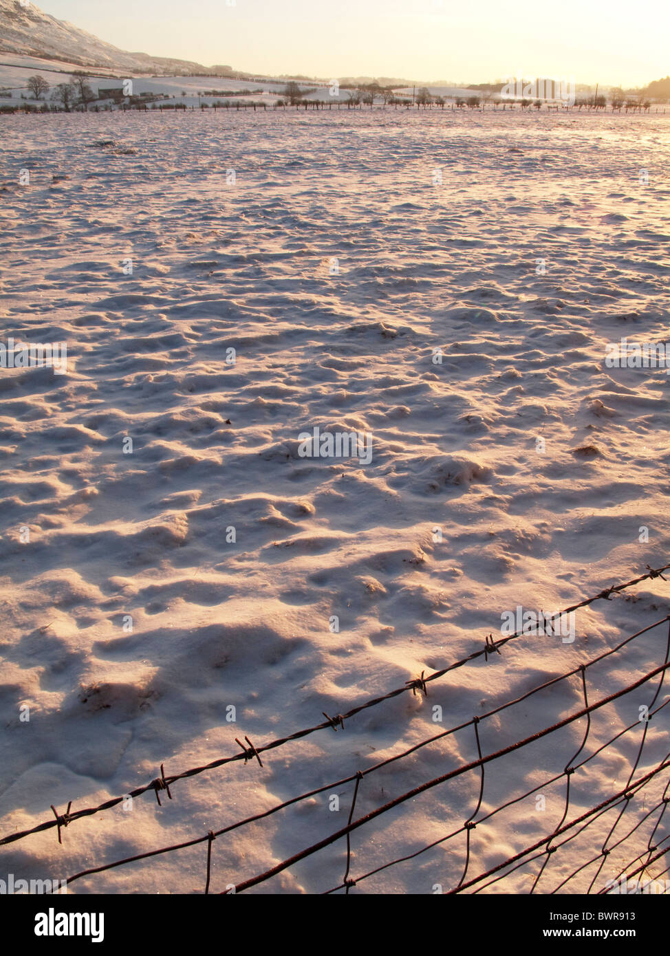 schneebedecktes Feld und Zaun, winter ow Sonne Stockfoto