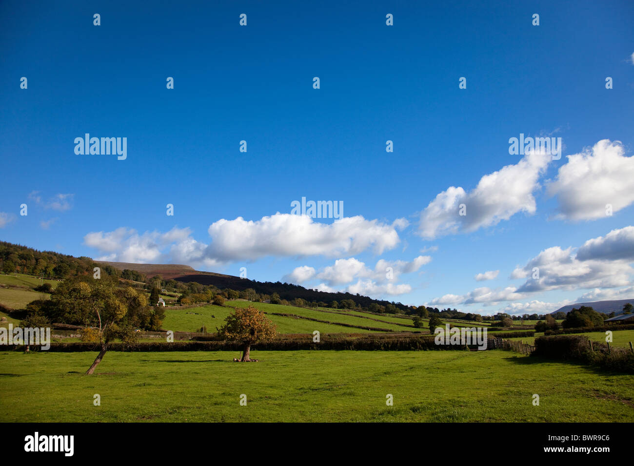 Ackerland in der Nähe von Tretower Powys Wales UK Stockfoto