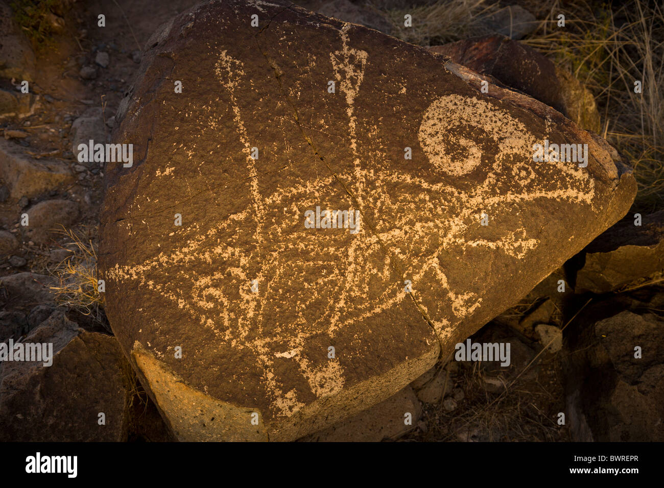 Petroglyphen, die Jagd auf Bighorn Schafe durch die Jornada Mogollon am Three Rivers Petroglyph Site, New Mexico USA darstellen. Stockfoto