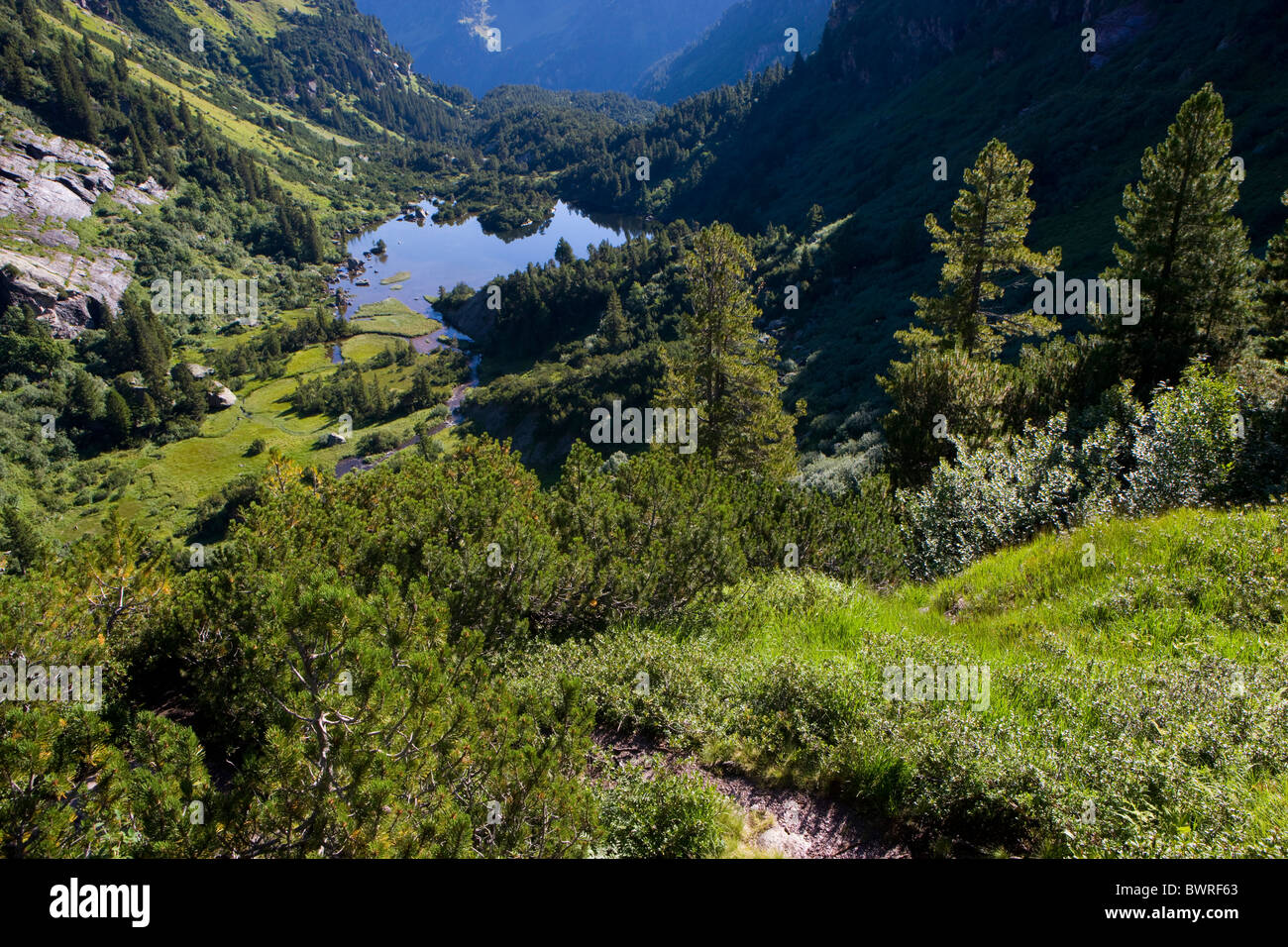 Schweiz Europa Murgsee See Sommer Kanton St. Gallen Water Stadt Volk Alpen Alpen Berge Stockfoto