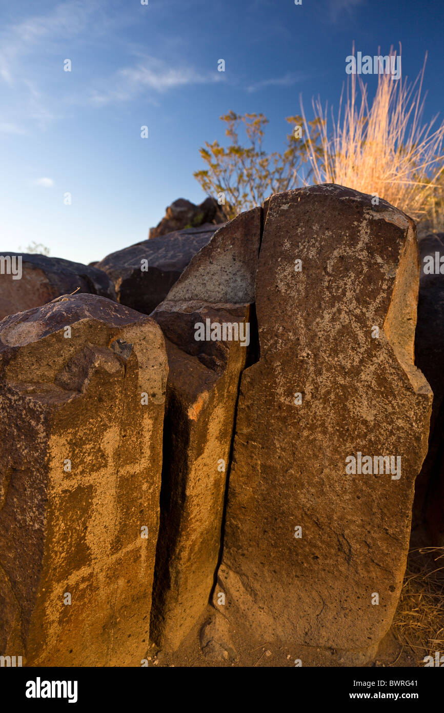 Petroglyphen von tierischen und menschlichen Formen von Jornada Mogollon Indianer in Three Rivers Petroglyph Site, New Mexico USA erstellt. Stockfoto