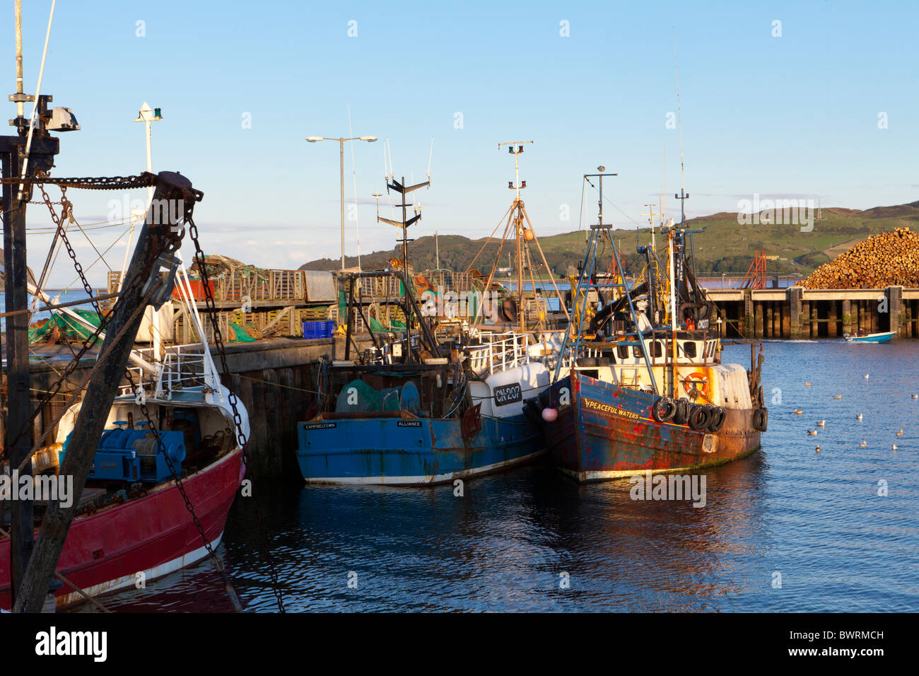 Fischerboote im Hafen in Campbeltown Loch, Campbeltown auf der Halbinsel Kintyre, Argyll and Bute, Schottland Stockfoto