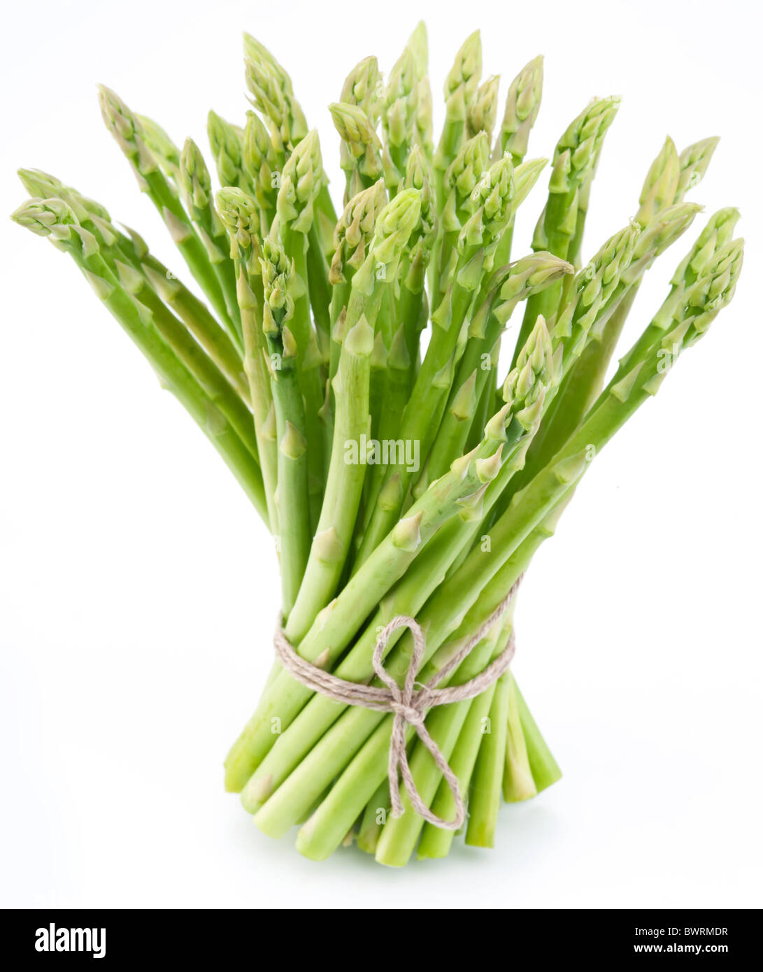 Garbe Spargel auf einem weißen Hintergrund. Stockfoto