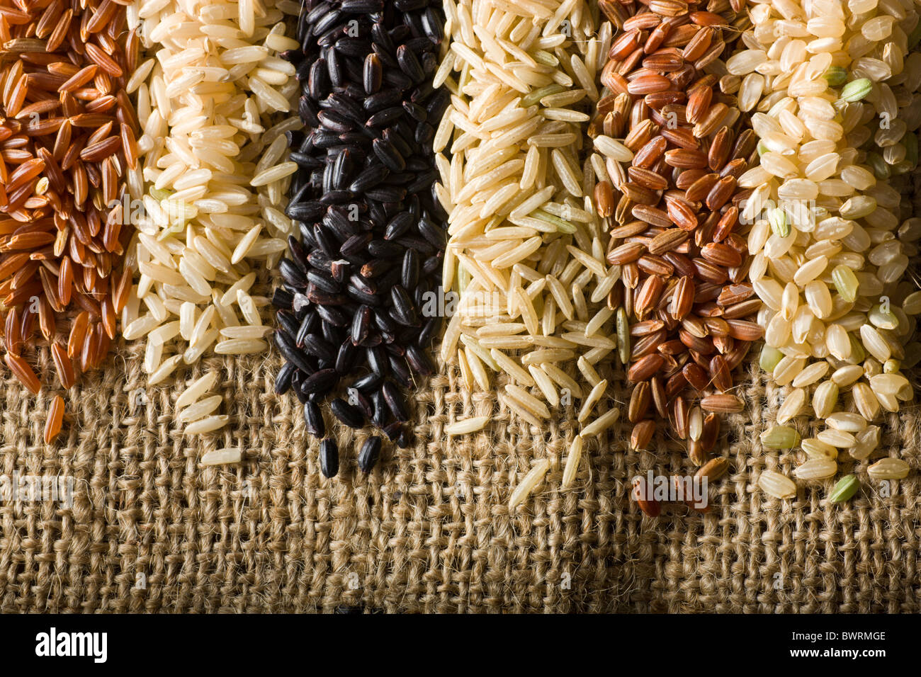 Sechs Sorten von rohen brauner Reis. Von links nach rechts: 1. Himalaya Roter Reis - 2. Langkorn-Naturreis - 3. Chinesen verboten Bla Stockfoto