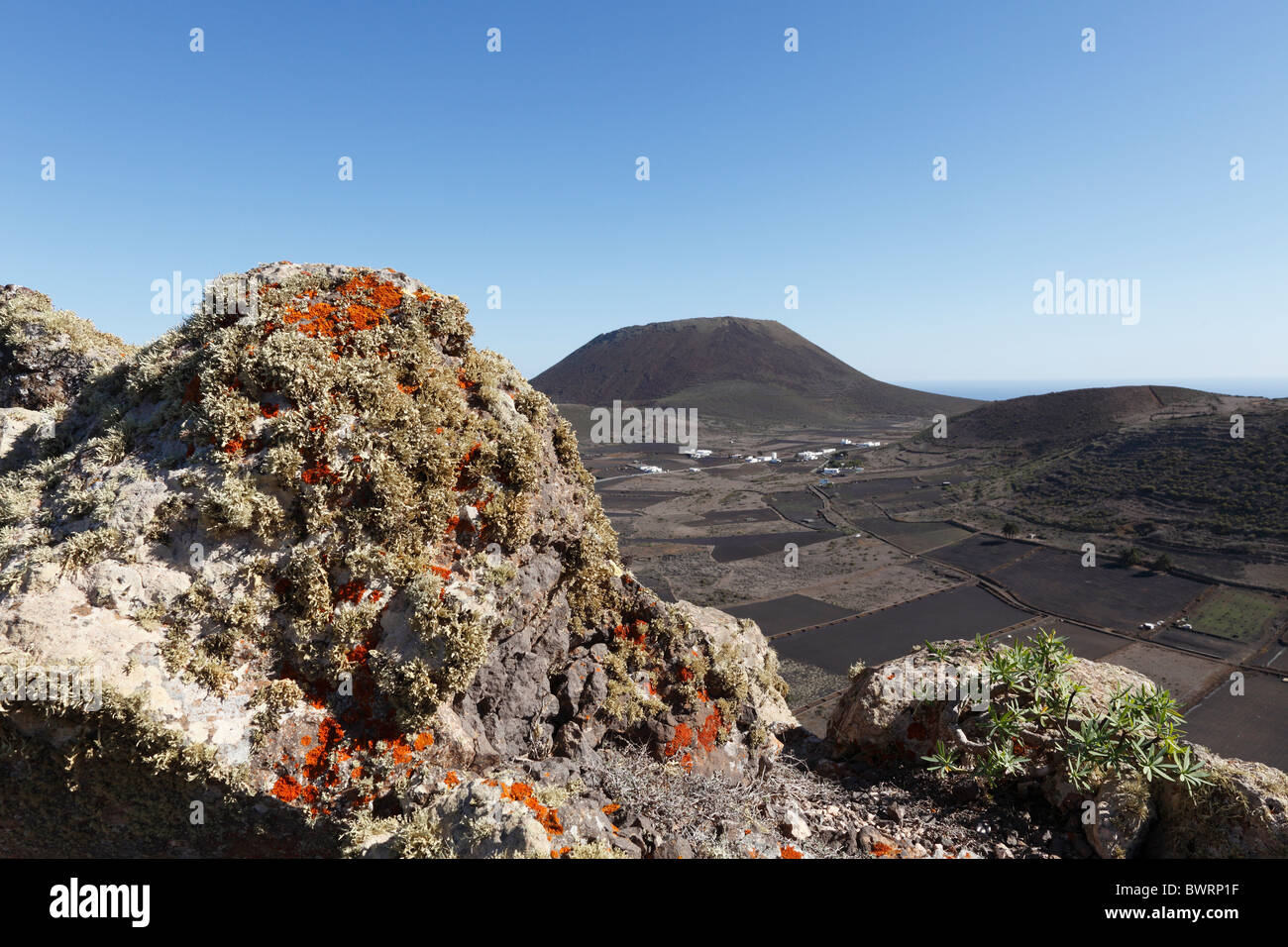 Flechten auf Felsen Risco de Famara, Guinate, vor Vulkan Monte Corona, Lanzarote, Kanarische Inseln, Spanien, Europa Stockfoto
