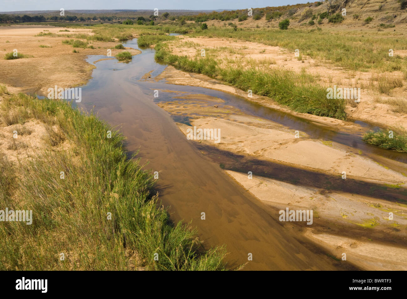 Olifants River Kruger Nationalpark in Südafrika Stockfoto