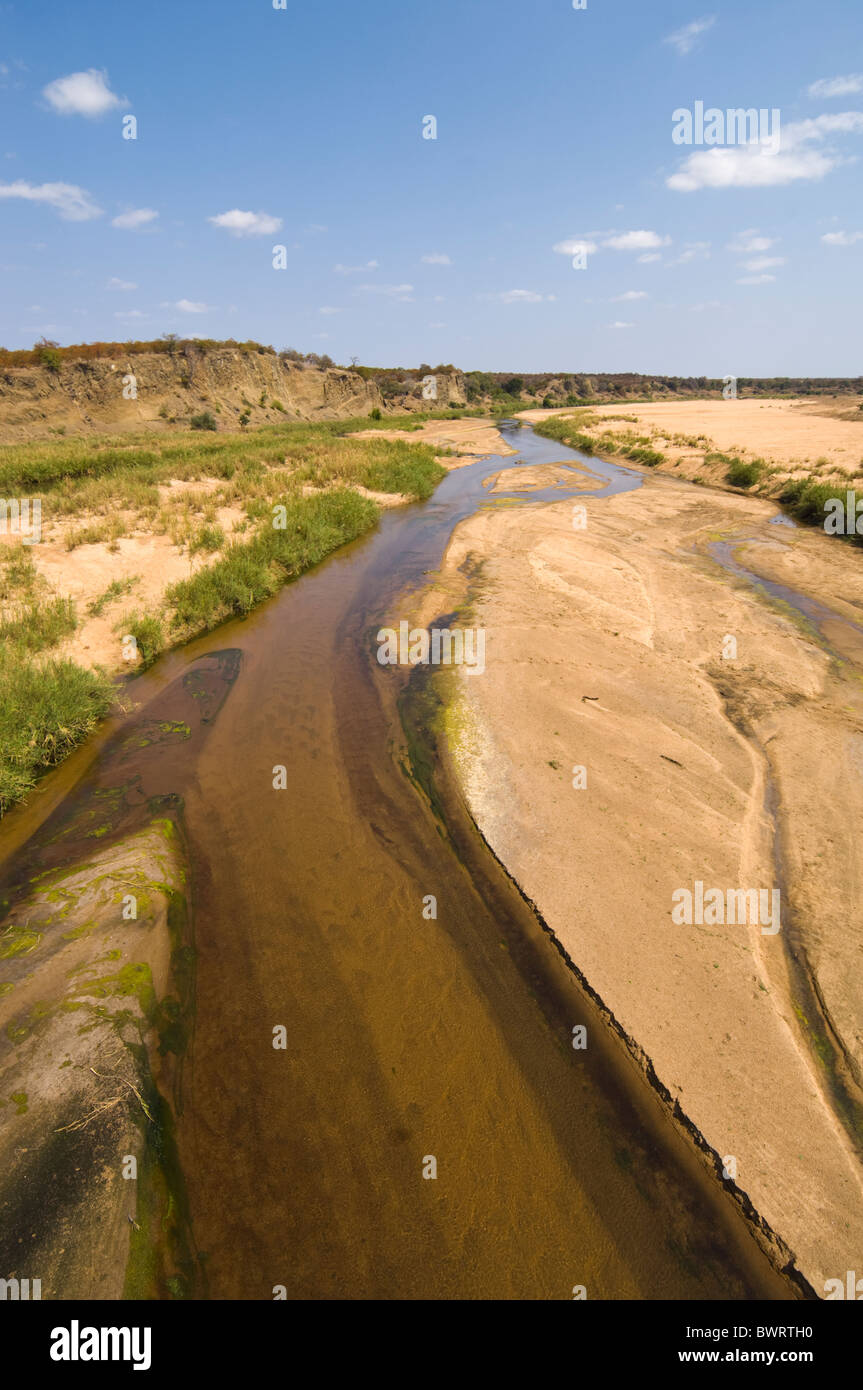 Olifants River Kruger Nationalpark in Südafrika Stockfoto