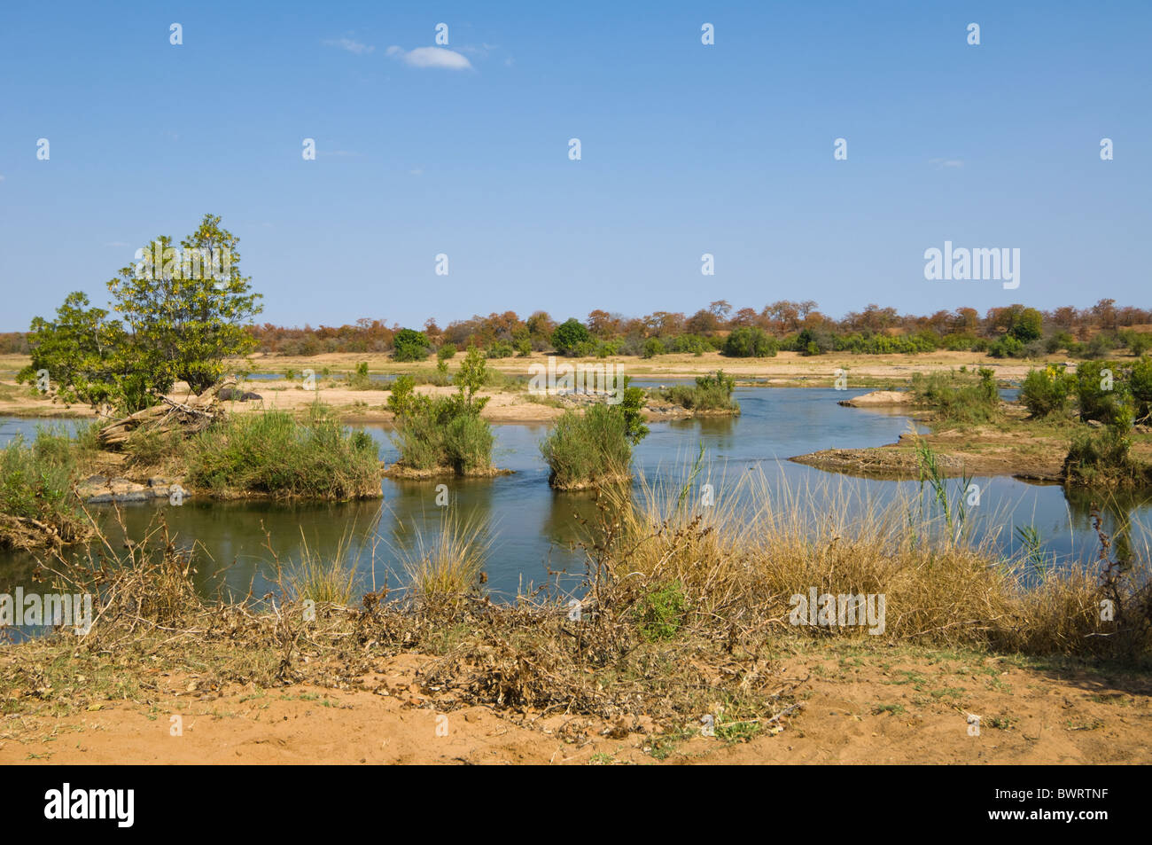 Olifants River Kruger Nationalpark in Südafrika Stockfoto