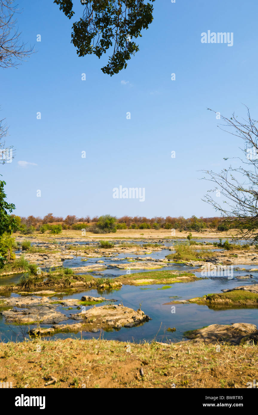 Olifants River Kruger Nationalpark in Südafrika Stockfoto