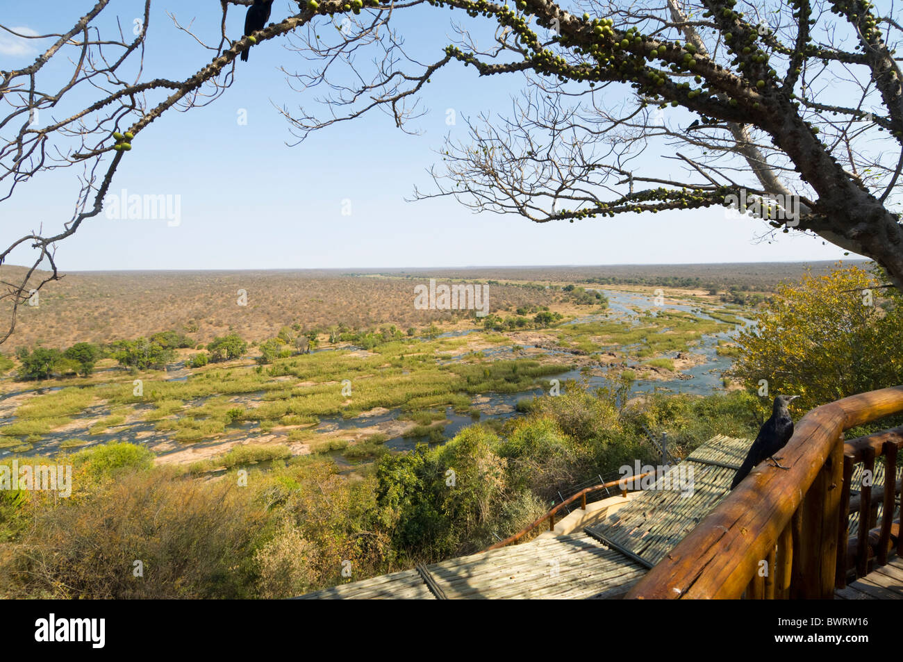 Olifants Rest Camp Kruger Nationalpark in Südafrika Stockfoto