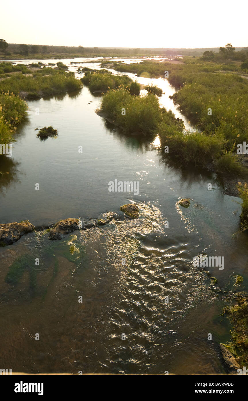 Olifants River Kruger Nationalpark in Südafrika Stockfoto