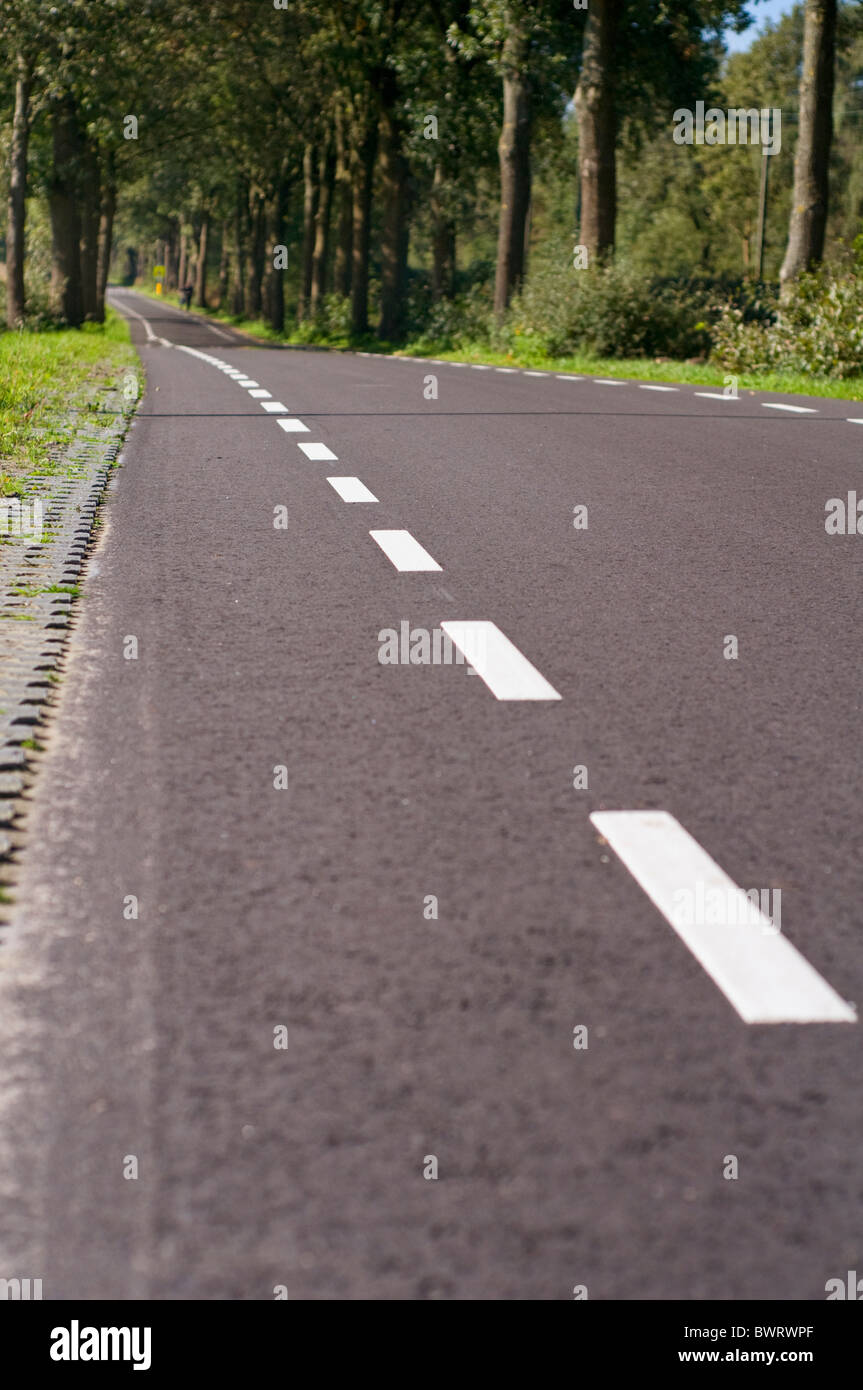 Eine leere, baumgesäumten Landstraße in den Niederlanden Stockfoto