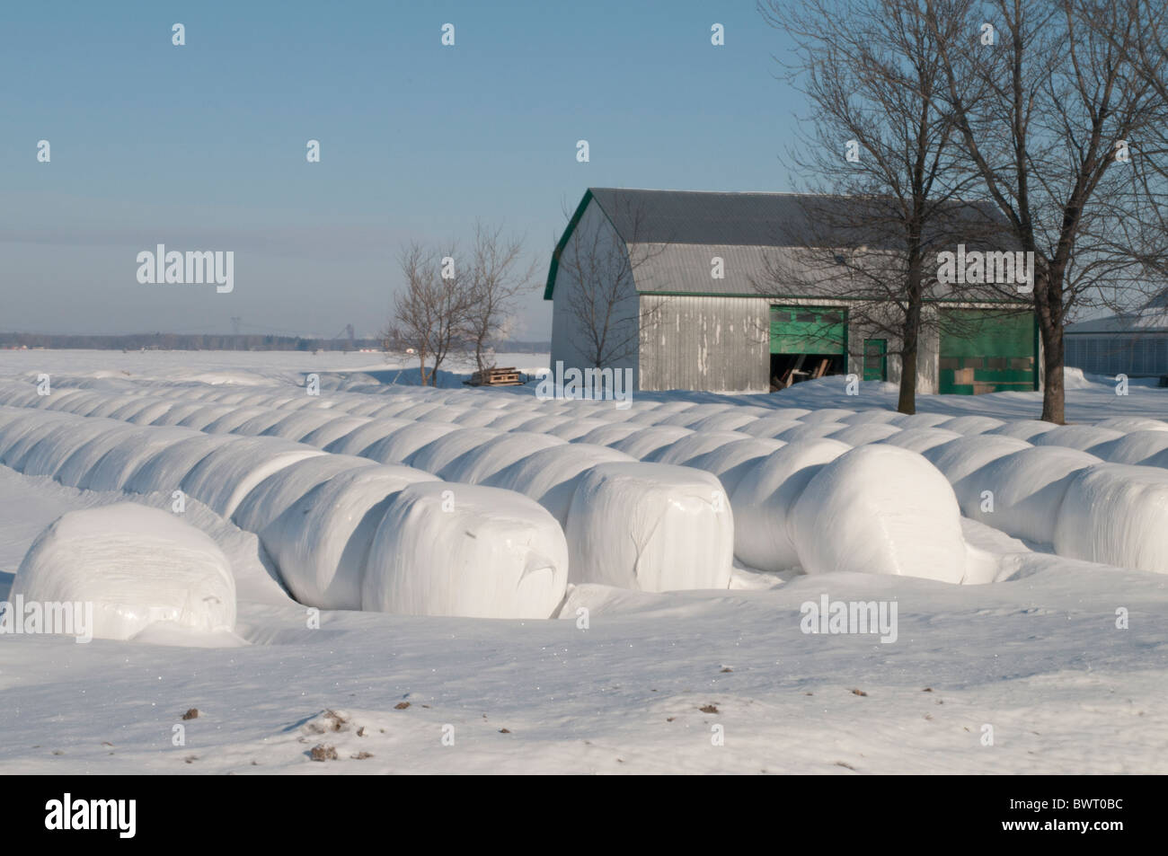 Ein Bauernhof in Quebec im Winter. Überdachte Heuballen sind in Schnee und Eis gefroren. Stockfoto