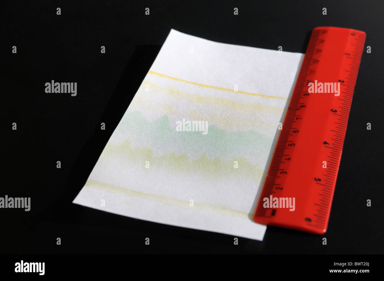 Photosynthetische Pigmente von einem Blatt aus Papierchromatographie. Pigmente sind Chlorophyll A und b (siehe Beschreibung) Stockfoto