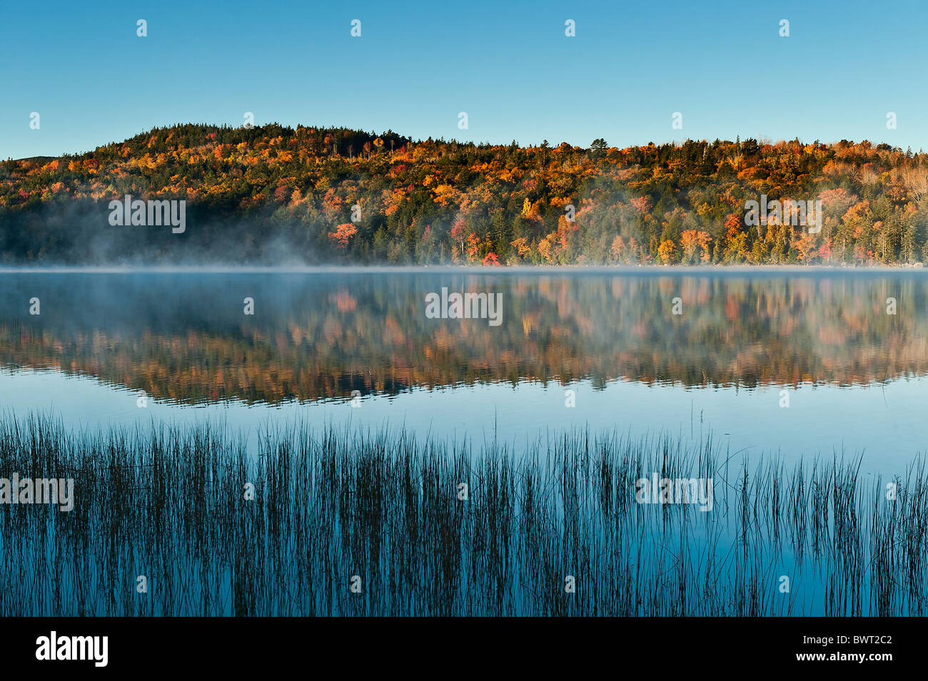 Echo Lake, Acadia NP, Maine, USA Stockfoto