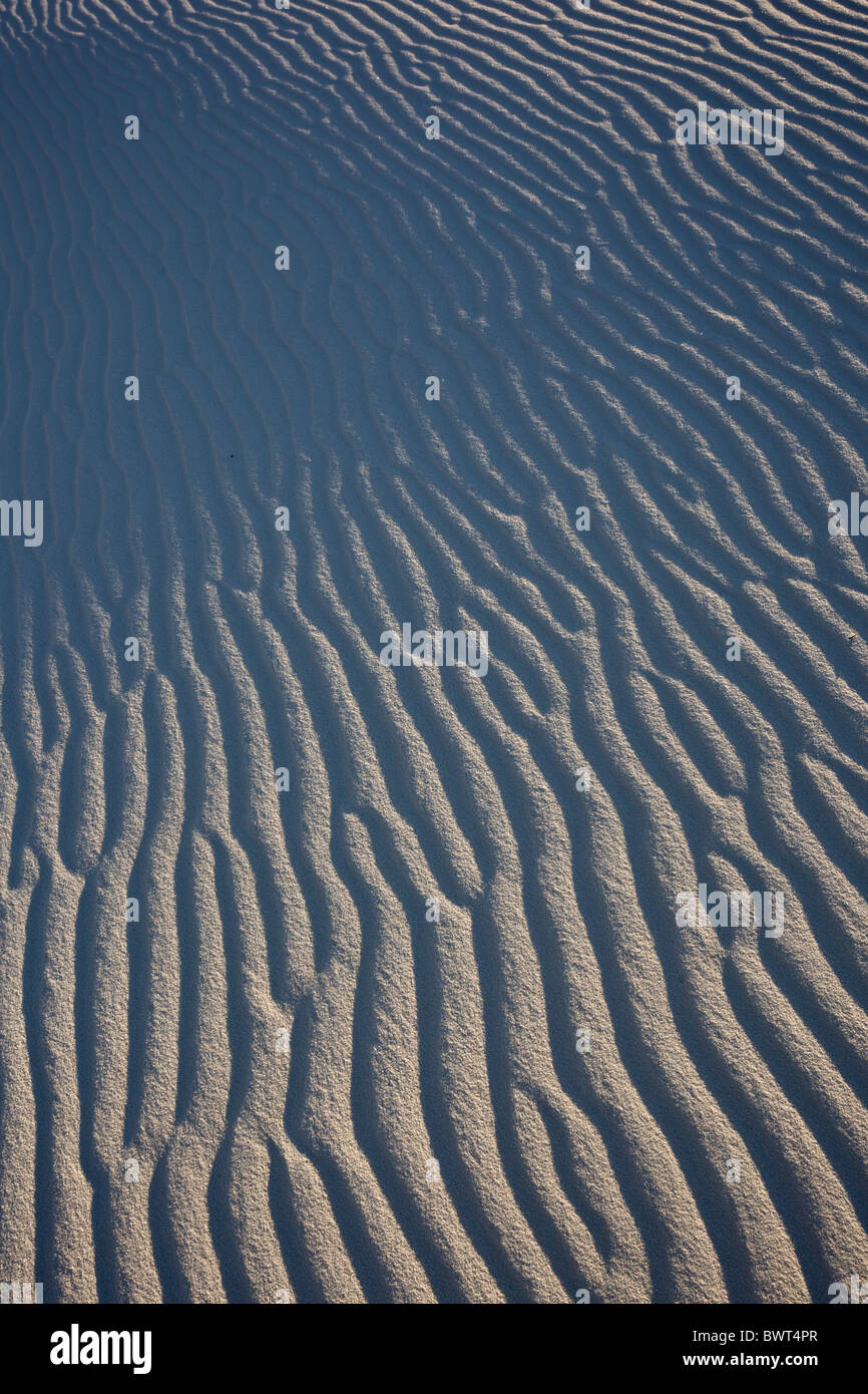 Muster gebildet durch den Wind in den weißen Gips Sanddünen von White Sands National Monument in Alamogordo, New Mexico, USA. Stockfoto