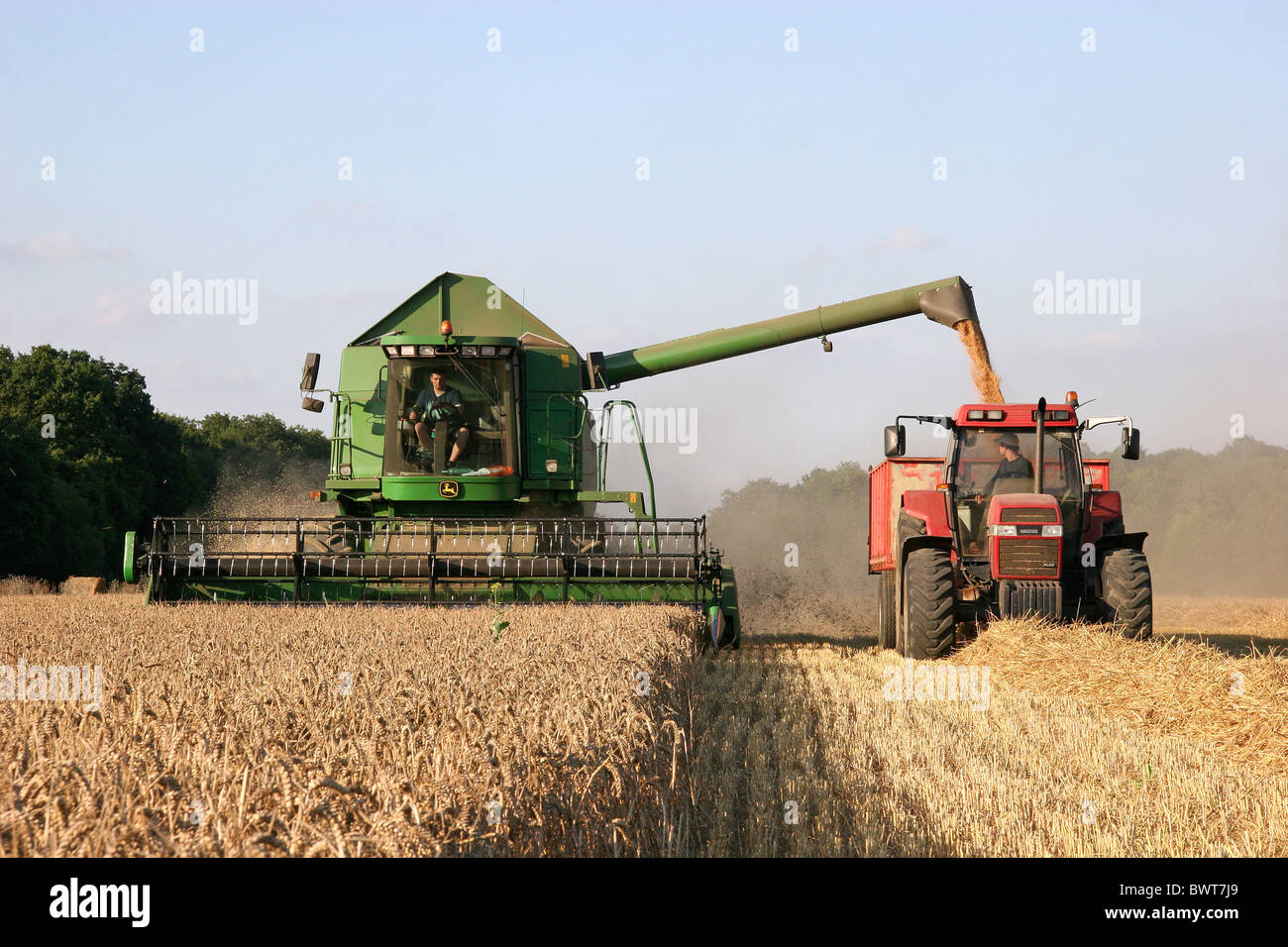 Traktor und Anhänger Mais carting John Deer Mähdrescher Stockfoto