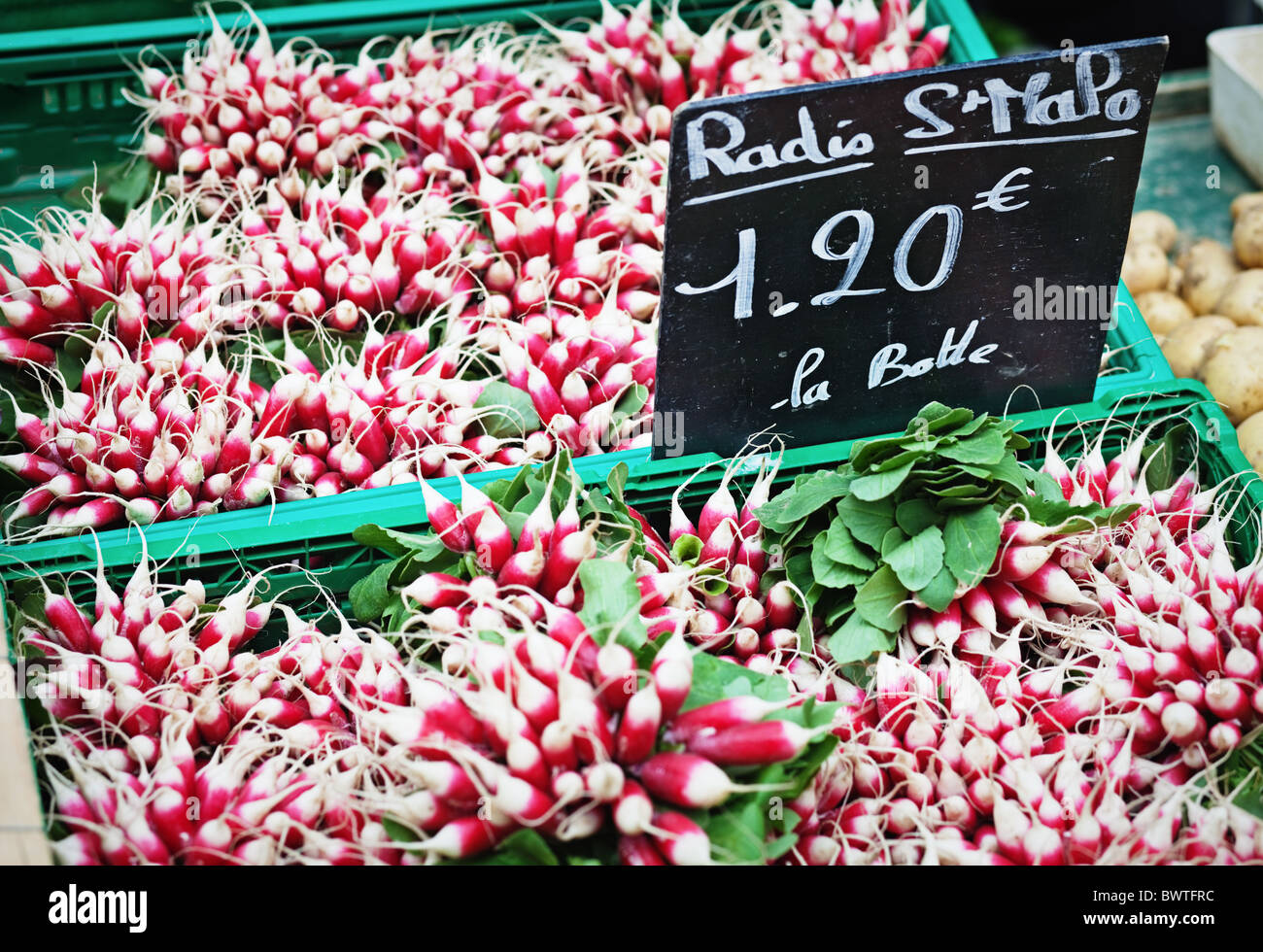 Rettich für den Verkauf auf einem Bauernmarkt; Preisschild auf Französisch Stockfoto
