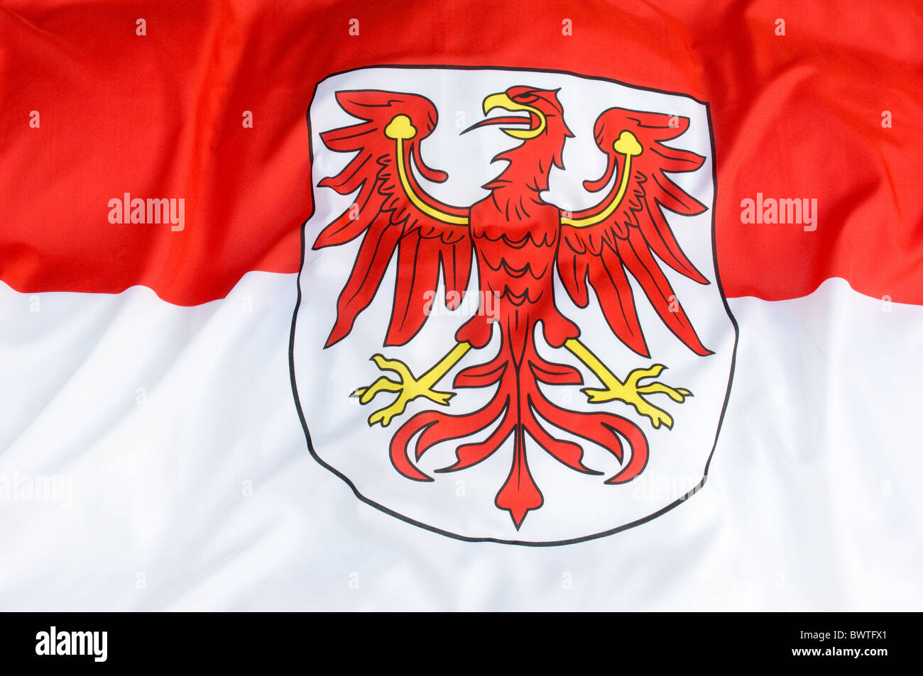 Flagge des Landes Brandenburg Stockfoto