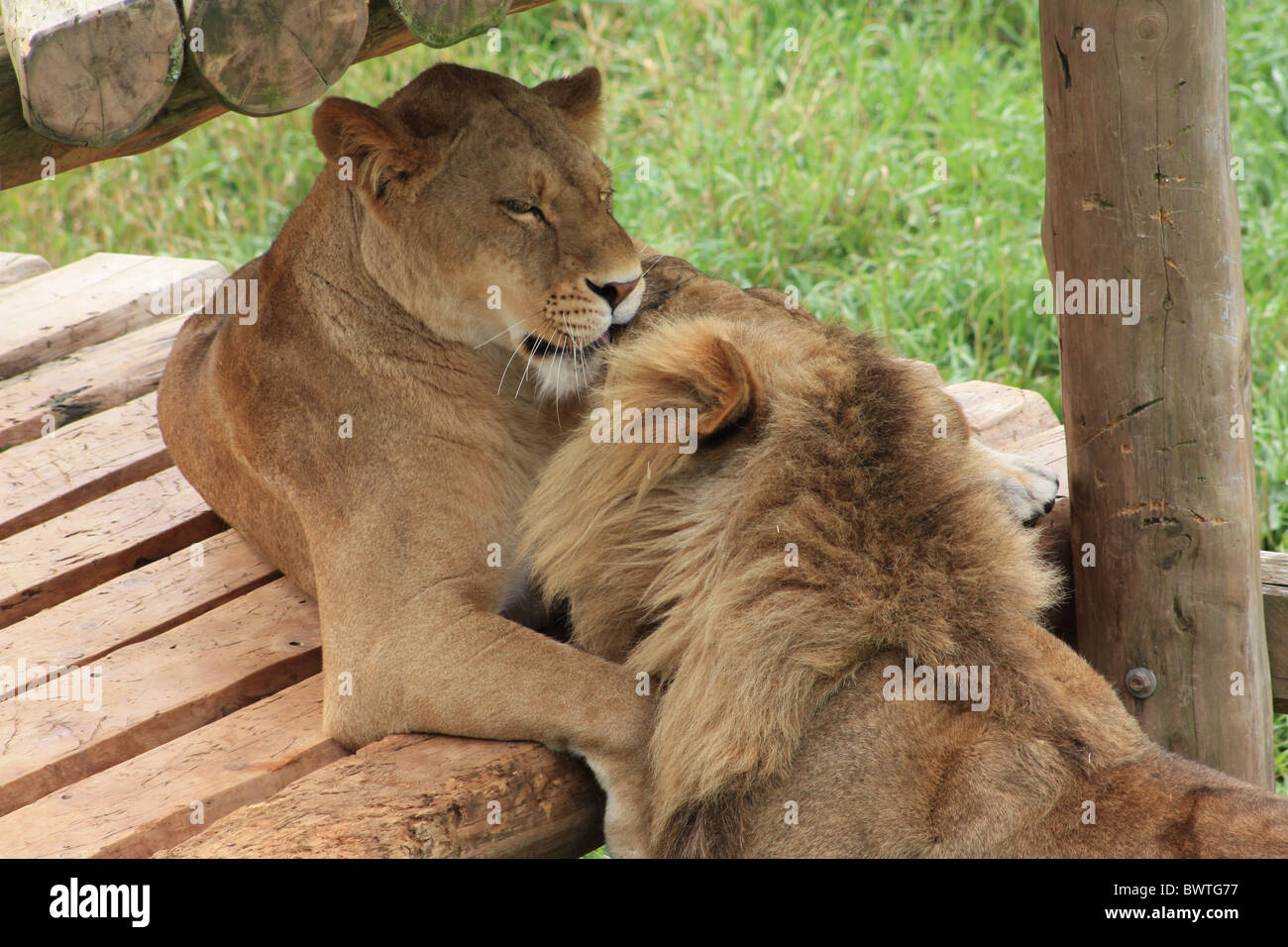 Bewegender Moment Stockfoto