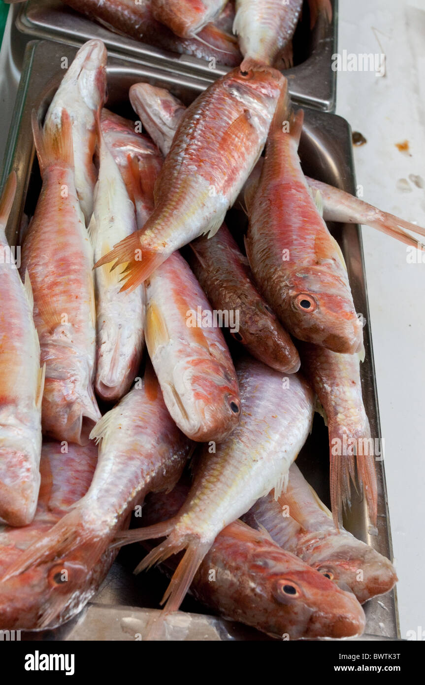 Frischer Fisch zum Verkauf Malaga Stockfoto