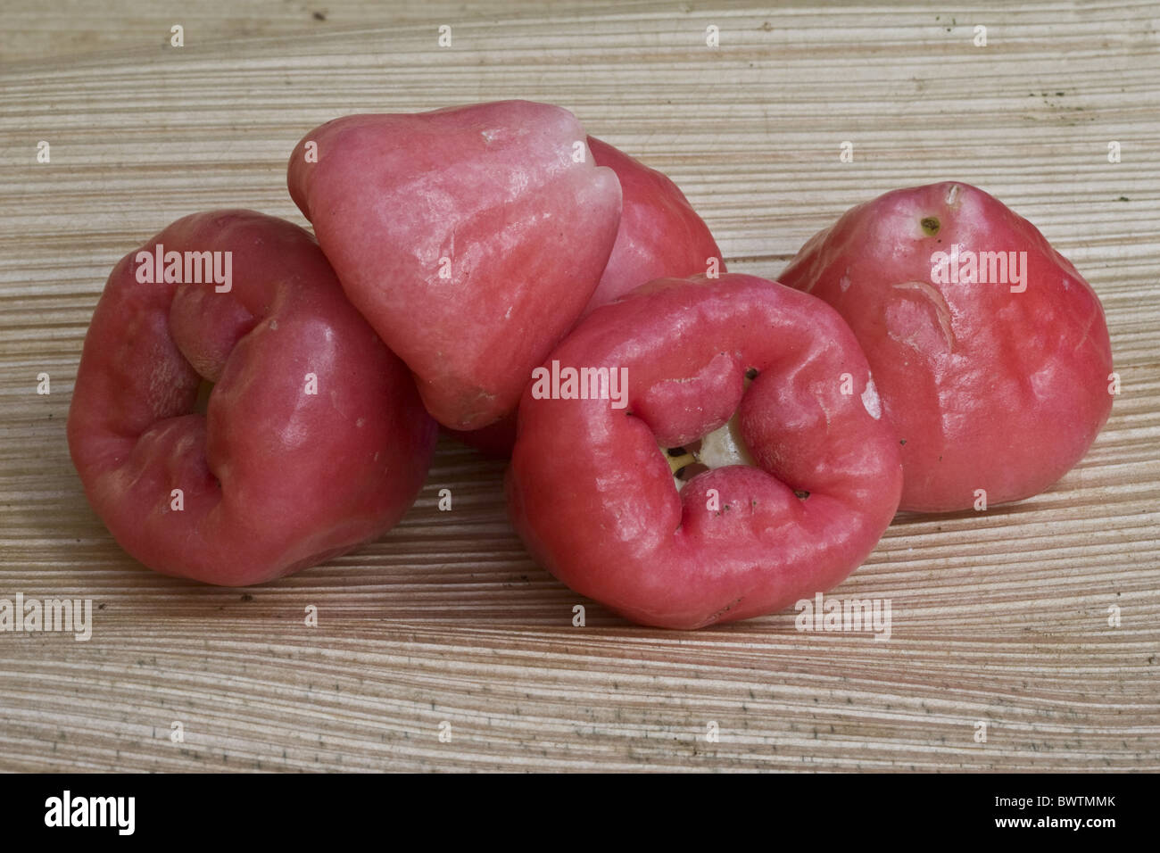 Asien Asien Glocke Obst Glocke Früchte Beeren essbar Euginia Jambolina Euginia Javanica immergrünen Evergreens Lebensmittel Lebensmittel Beerenfrucht Stockfoto