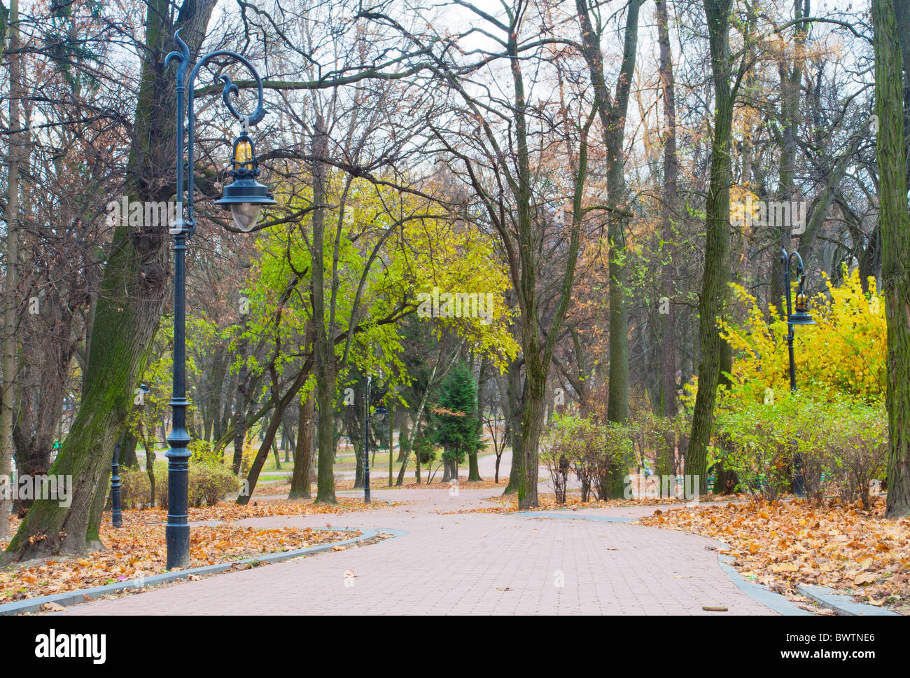 Straße durch den herbstlichen park Stockfoto