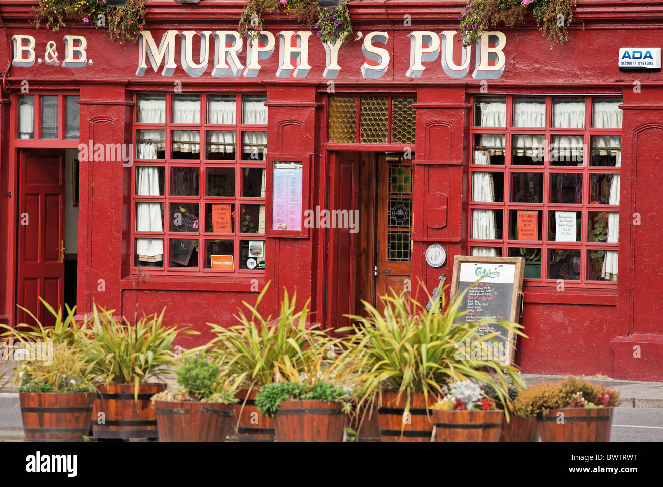 Murphy's Pub, Dingle, County Kerry, Munster, Irland, Stockfoto