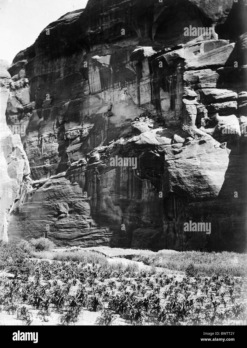 Kornfelder Maisfelder Canyon del Muerto rocks 1907-Geschichte historisch historische Foto Edward S. Curtis uSA Stockfoto