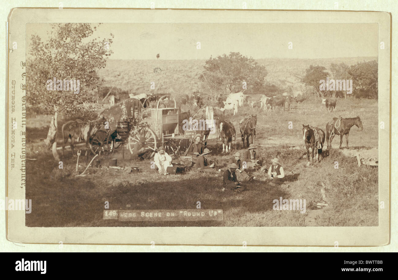 Chaos-Szene Wildwest Waggon Cowboy Pferde Dakota USA USA Nordamerika Landwirtschaft Foto John Stockfoto