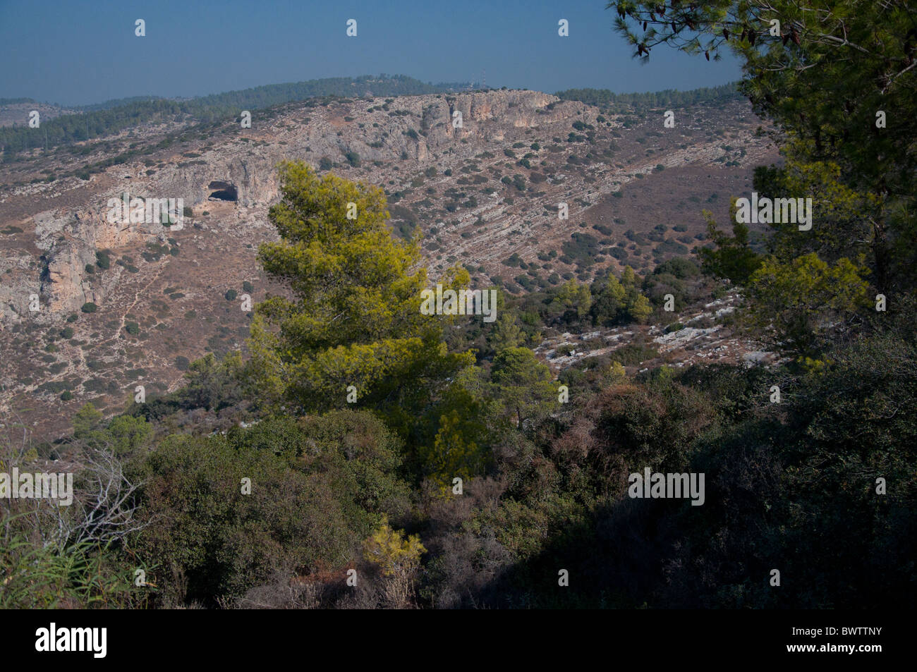 Ein Blick auf den Hügeln von Judäa. Stockfoto