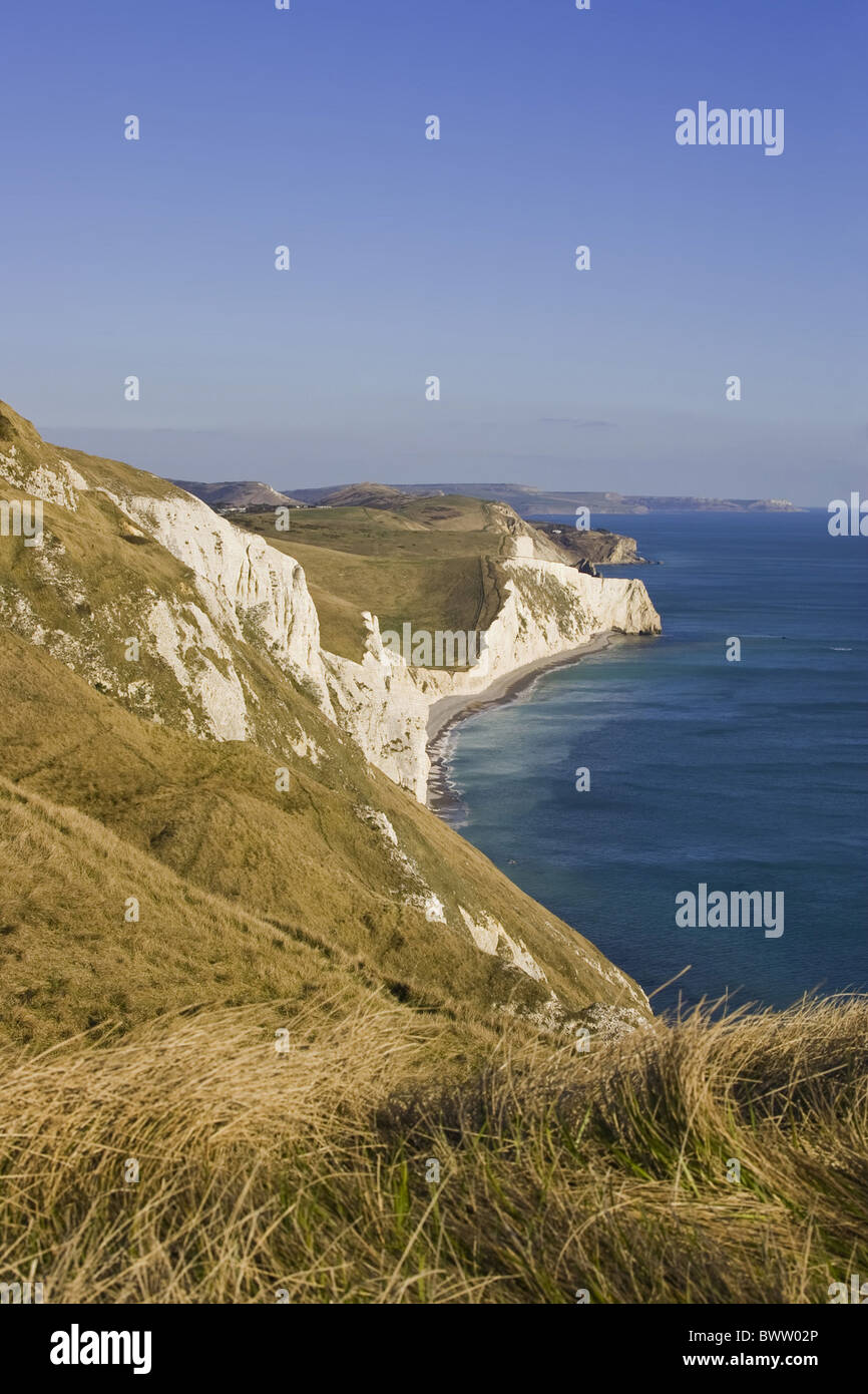Küsten Blick auf steilen Kreidefelsen und felsigen Landzungen, weiße Nothe in Richtung Durdle Door und St. Aldhelms Head, Dorset, Stockfoto