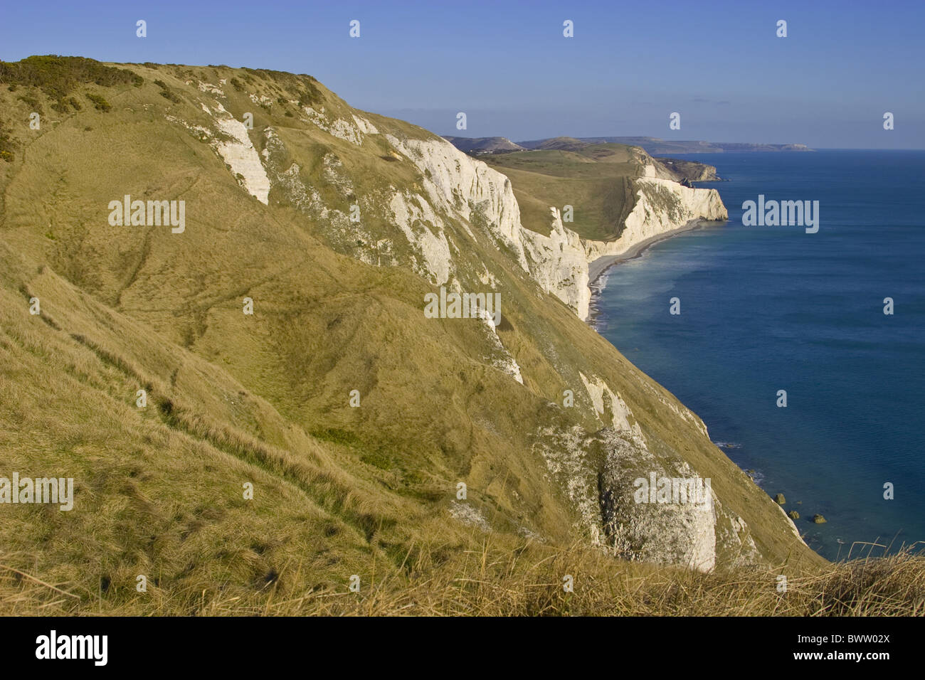Küsten Blick auf steilen Kreidefelsen und felsigen Landzungen, weiße Nothe in Richtung Durdle Door und St. Aldhelms Head, Dorset, Stockfoto