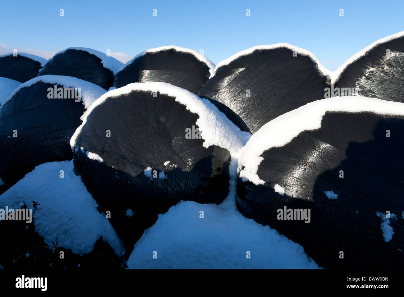 Schneefall auf schwarzem Kunststoff Silo Sack Stapel im englischen Hof. Stockfoto
